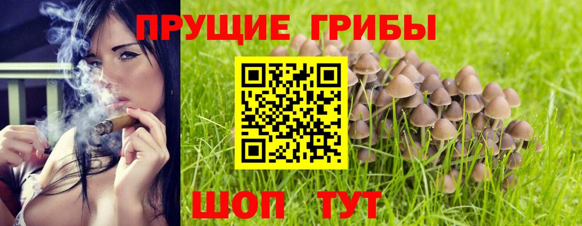 Галлюциногенные грибы прущие грибы  Вход с VPN  наркотики  Кувандык 