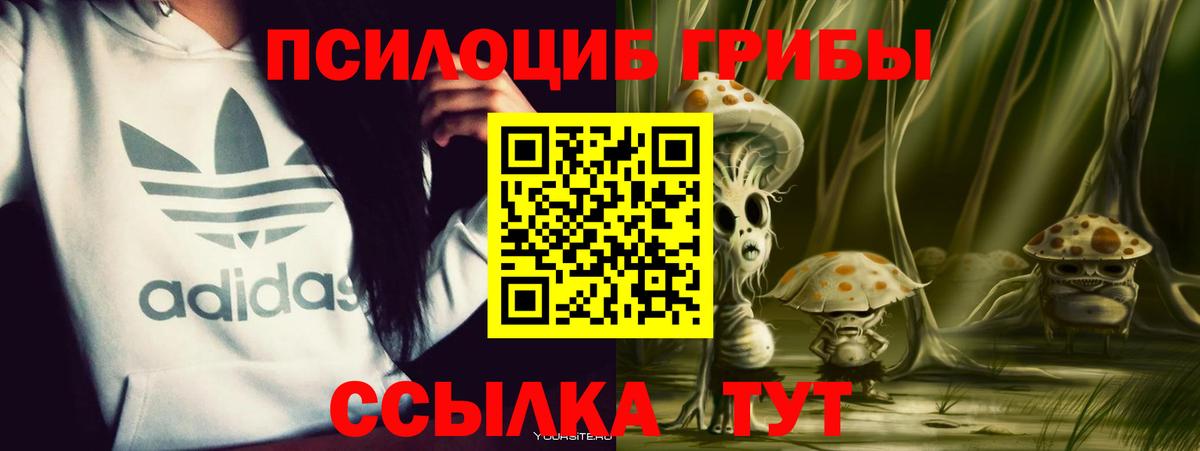 Псилоцибиновые грибы Psilocybe Кувандык